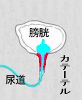 �N�����̕��D